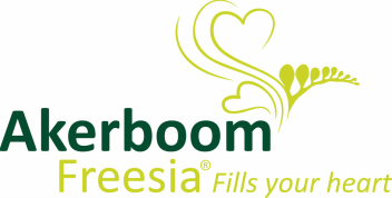 Akerboom Freesia | Fills your heart, fills your home